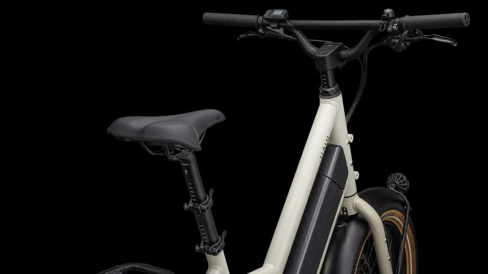 Specialized Haul LT> Cargo·Globe Haul St & Lt|Transport·Globe Haul St & Lt