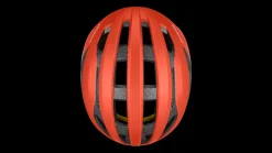 Specialized Loma><noscript><img width=