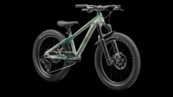 Specialized P.1 Trail>Kids Bmx / Dirt Jump·P.Series|Little Kids (4-7 Yr)·P.Series