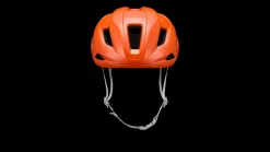 Specialized Search><noscript><img width=