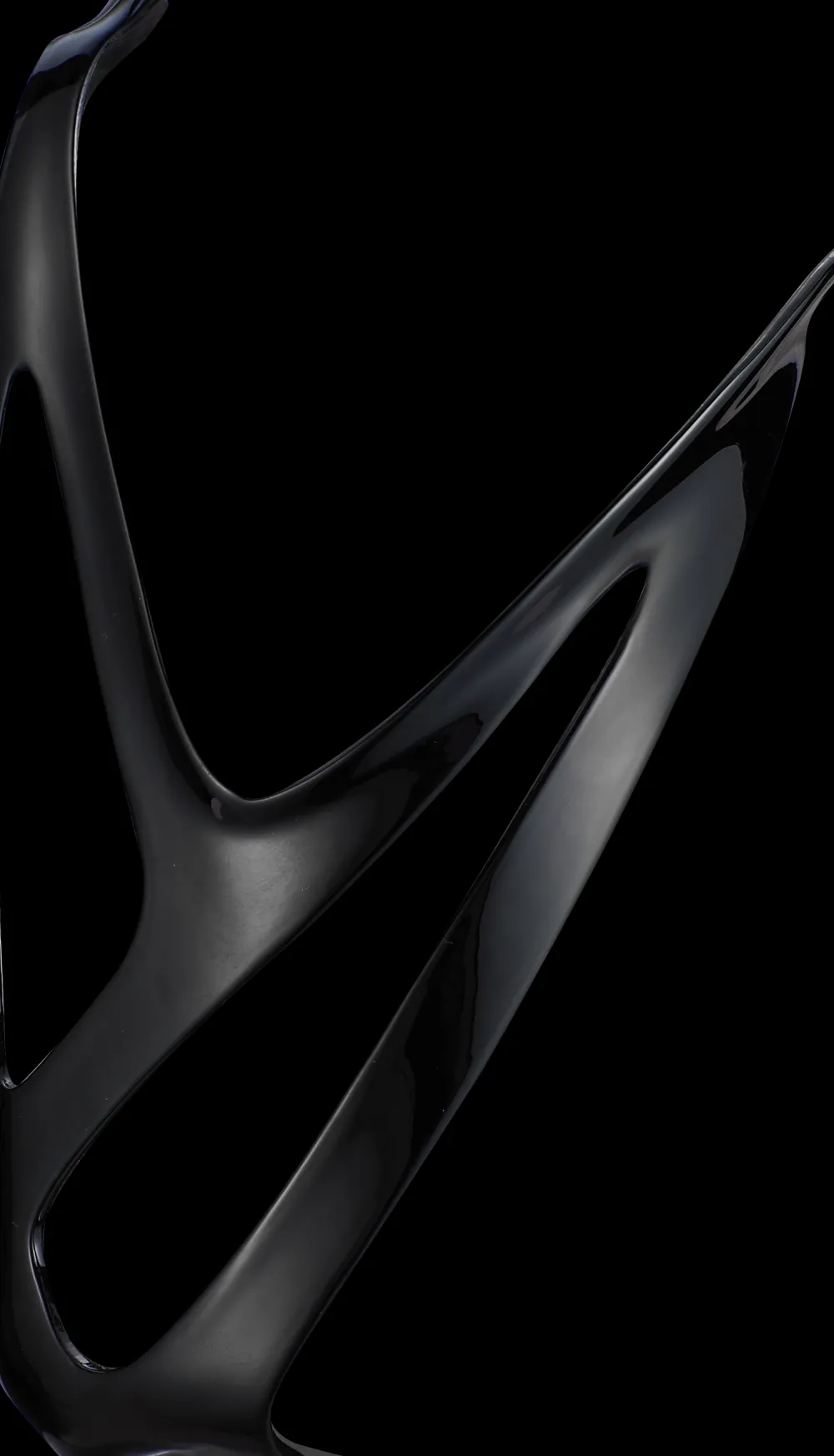 Specialized S-Works Carbon Rib Cage III> Bottle Cages